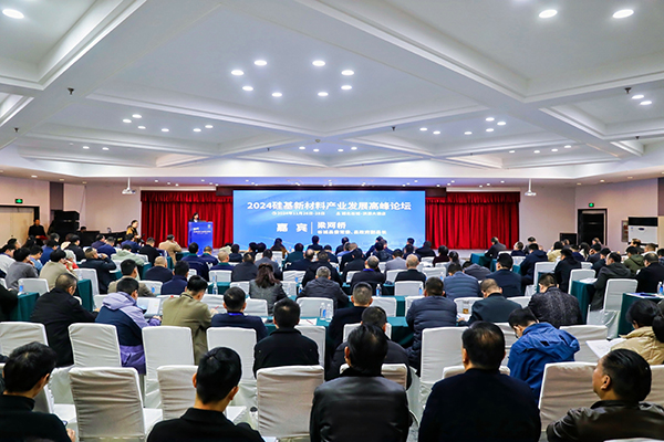 頂立科技參加硅基新材料高峰論壇，分享高純石英制備熱工裝備最新技術(shù) (2).jpg